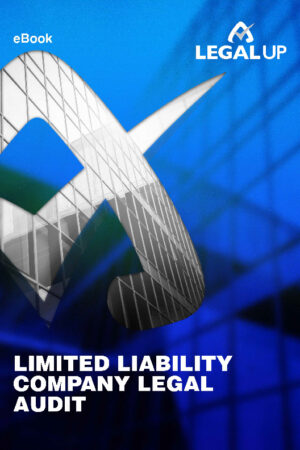 Limited Liability Company legal audit document highlighting compliance, risk management, and business protection strategies.